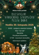 Rozsvícení vánočního stromu 1